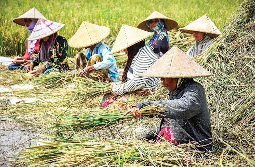 Kedaulatan Pangan Lokal Harus Diperkuat