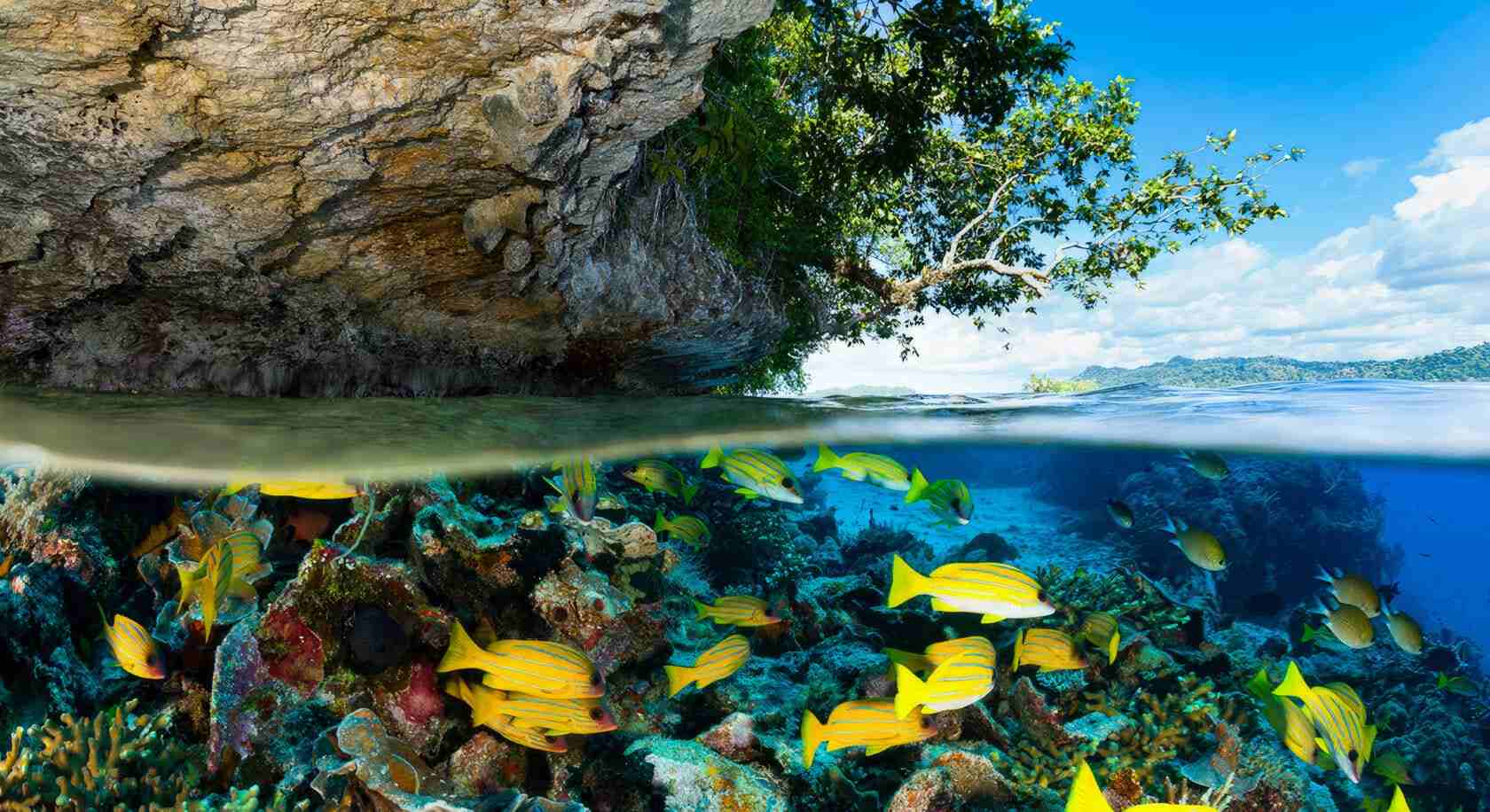 gbr