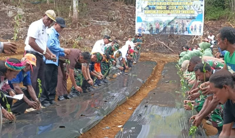 Wujudkan Ketahanan Pangan, Pemkab Biak Lirik Milenial Tanam Cabai