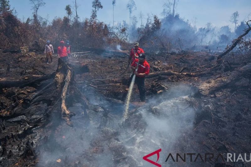 12 Kabupaten/Kota di Riau Tetapkan Status Siaga Darurat Karhutla