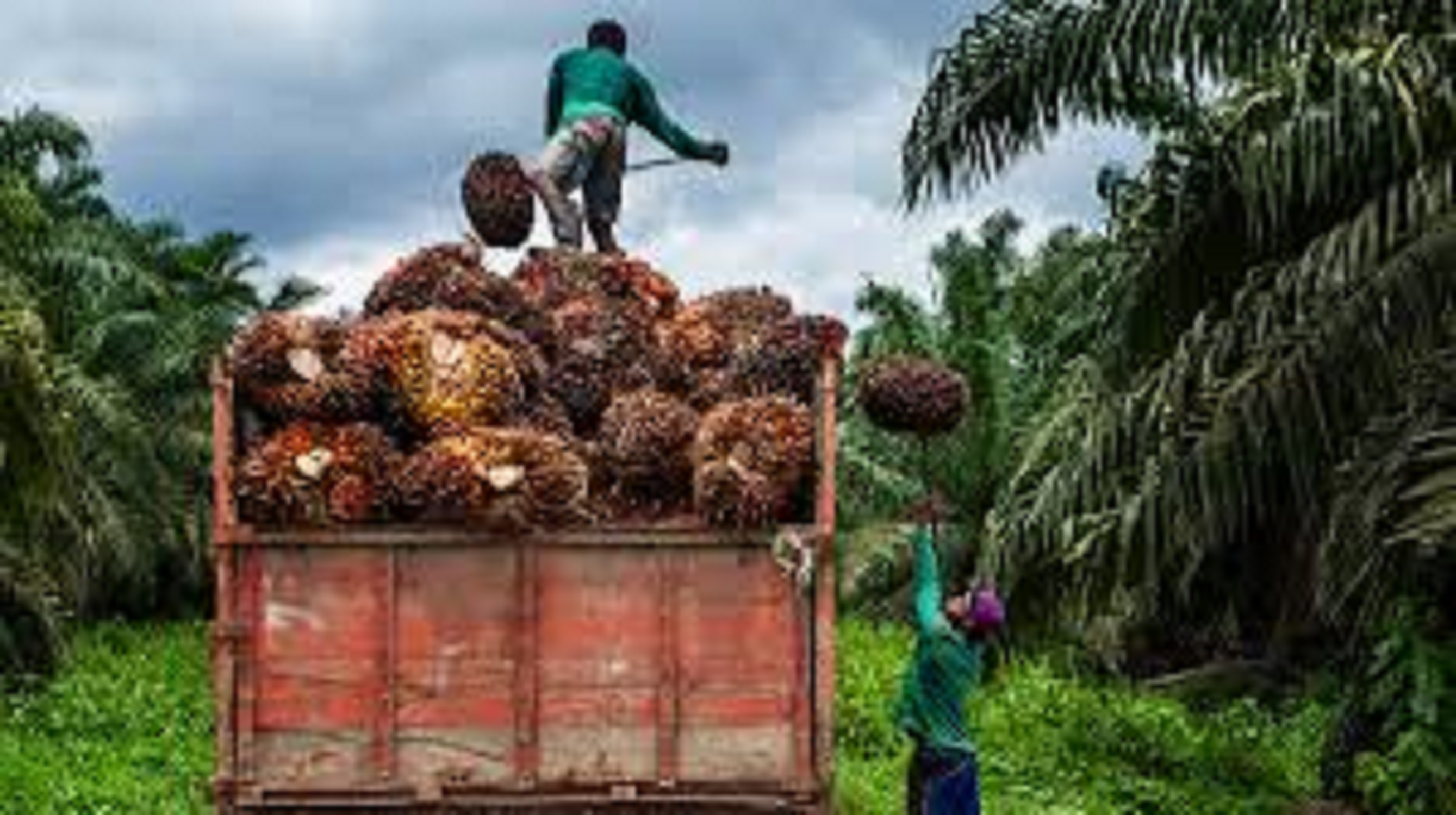 Kejagung Sita Rp11,8 Triliun dari Wilmar Group