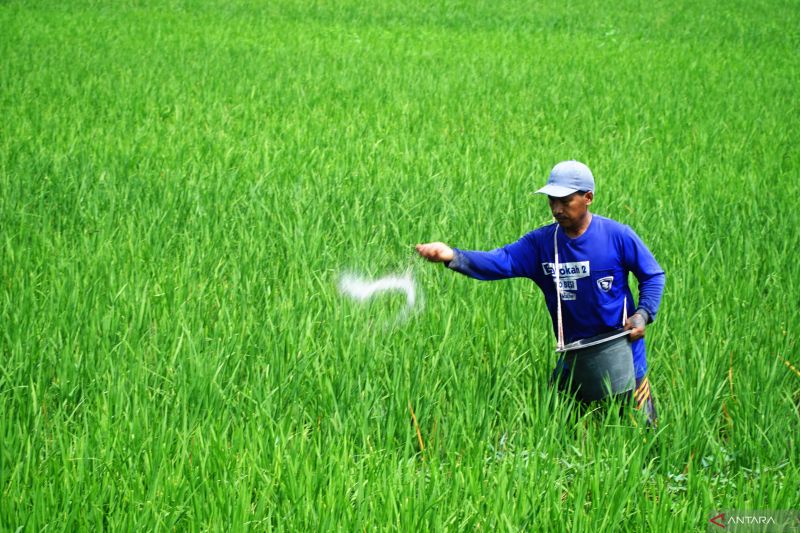 Kementan Luruskan Isu: Gapoktan Bukan Penyalur Pupuk Subsidi