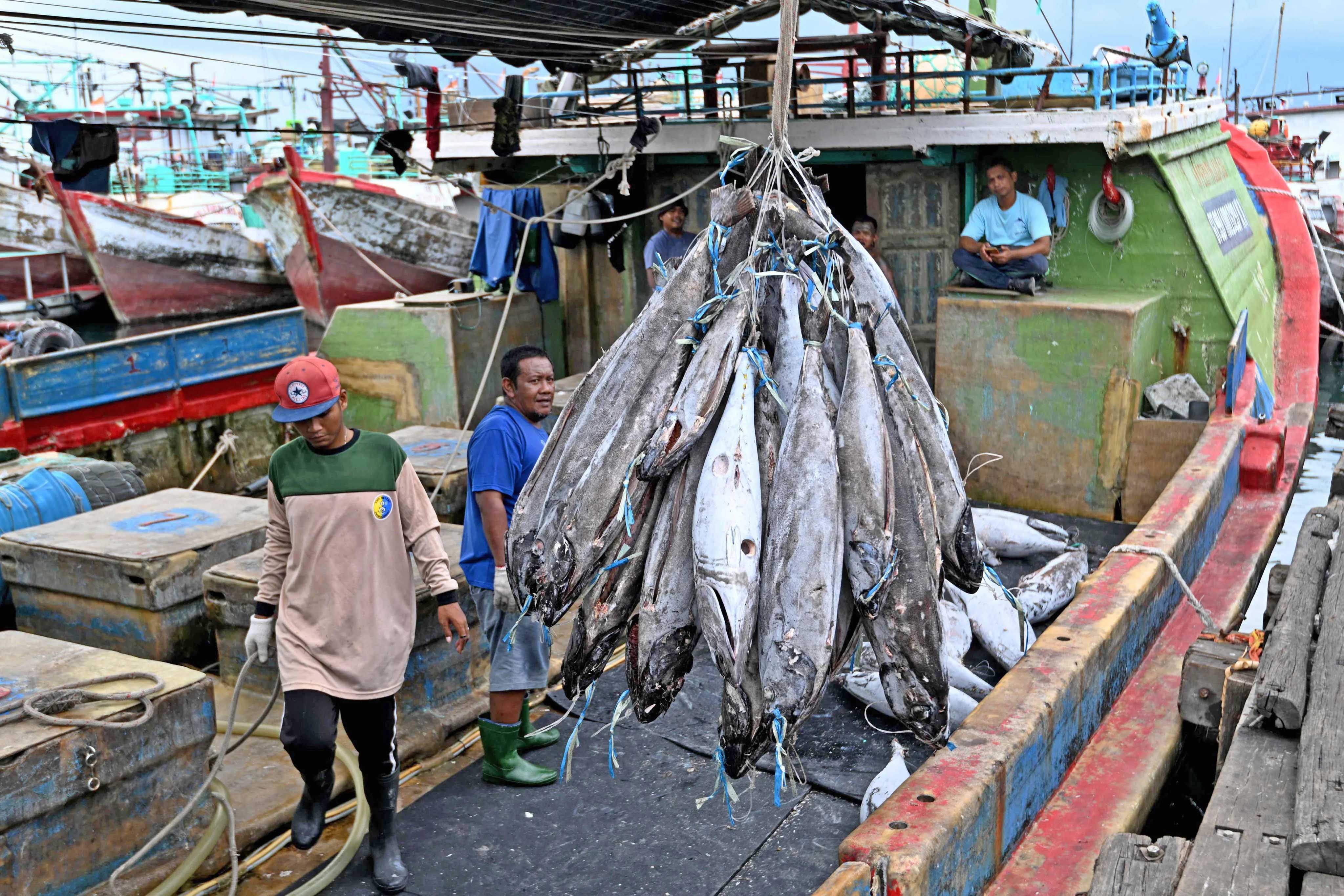 Jepang Kucurkan Dana untuk Bantu Nelayan Skala Kecil di Maluku