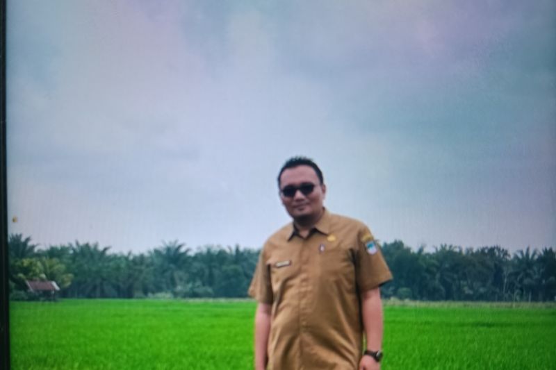 Pasaman Barat Produksi Padi 39.689 Ton dalam 5 Bulan, Jaga Ketahanan Pangan Daerah