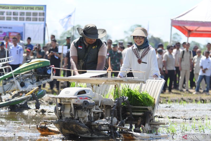 Kementan Lakukan Transformasi Pertanian Ketapang lewat Brigade Pangan