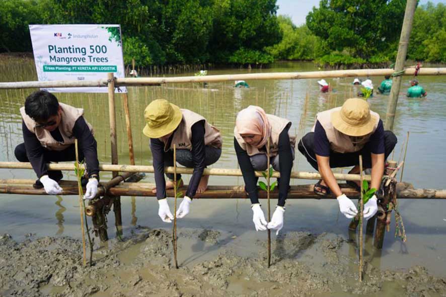 Penanaman 500 Bibit Mangrove di Pesisir Muara Gembong demi Pelestarian Lingkungan