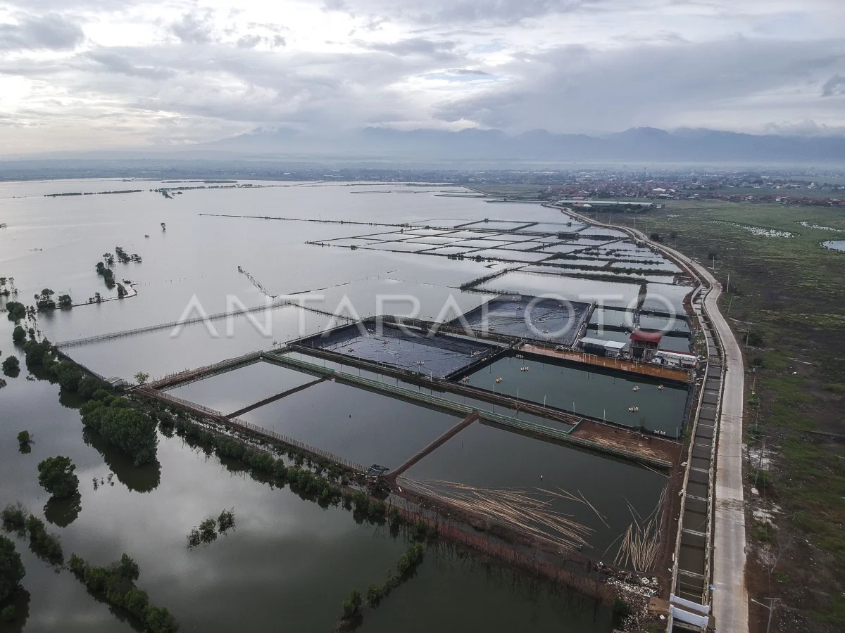 Revitalisasi Tambak, Jurus Pantura Ciptakan 100 Ribu Lapangan Pekerjaan