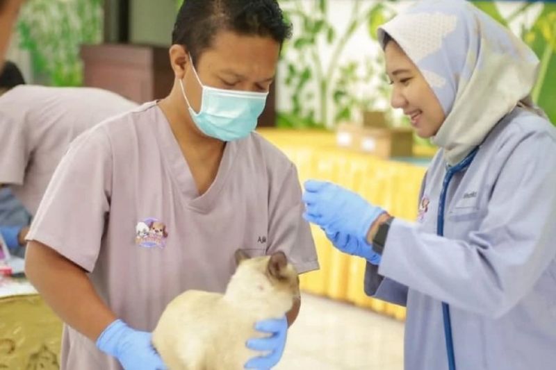 Cegah Rabies! Pemkot Madiun Sediakan Vaksin Gratis untuk Hewan Peliharaan