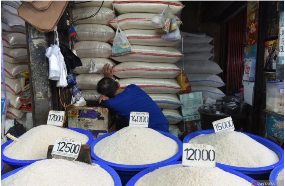 Tak Pernah Kapok! YLKI Desak Tindak Tegas Pengoplos Beras hingga Rugikan Konsumen Rp99,35 T 