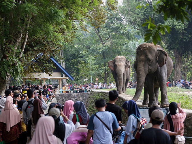 134.943 Warga Kunjungi Taman Margasatwa Ragunan pada Libur Panjang Lalu