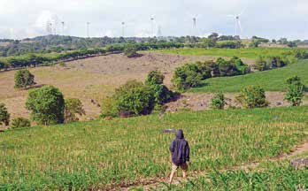 IESR Ungkap Potensi Sulawesi, Timor, dan Sumbawa Mampu Capai 100% EBT