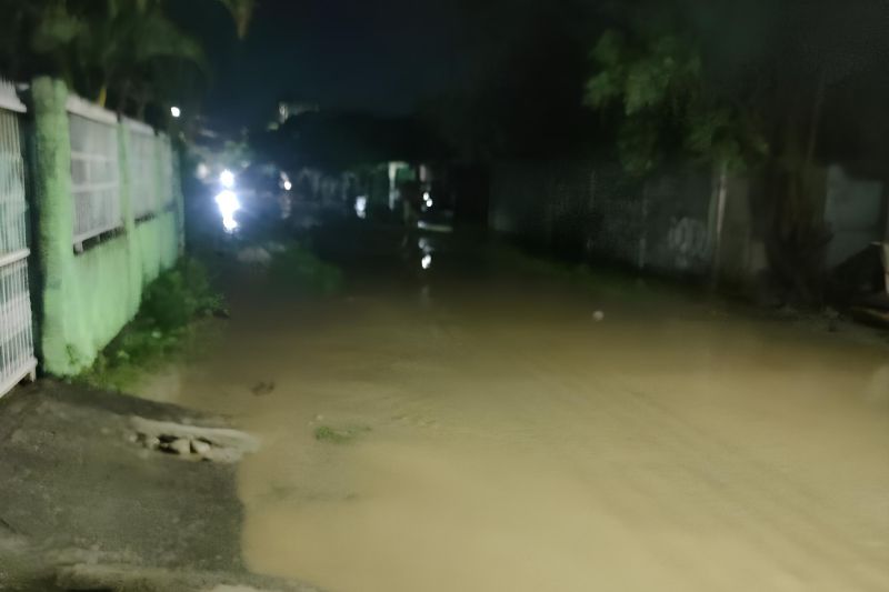 Curah Hujan Tinggi, Banjir Rendam Tujuh Kelurahan di Kota Palu