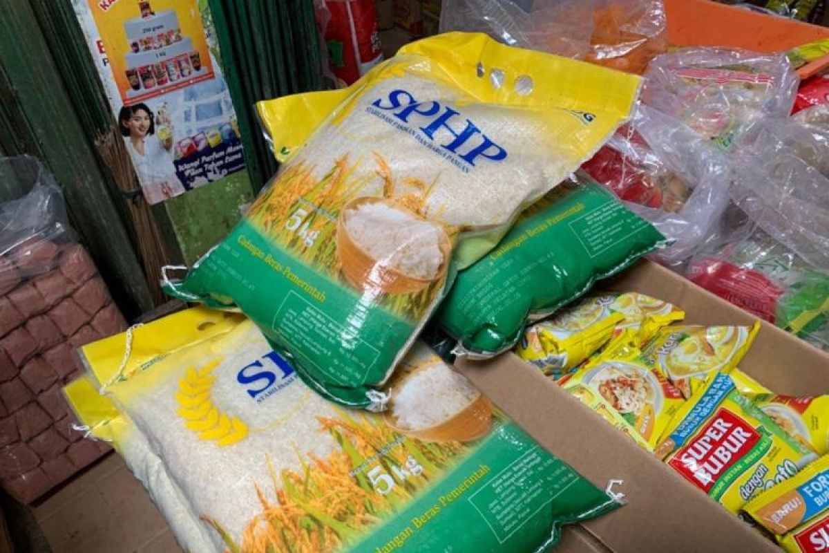 SPHP Ditebar saat Harga Beras Naik, Solusi Sementara atau Andalan Abadi?