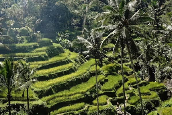 Perubahan Iklim, Cuaca Makin Ekstrem, Saatnya Rombak Sistem Tata Kelola Air Kita!