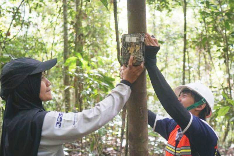 BRIN Kerja Sama Teliti Satwa Langka di Kaltim