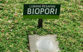ASN Didorong Memberi Contoh Pelopori Pembuatan Biopori