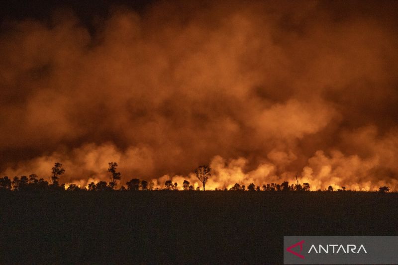 Karhutla Seluas 43 Hektare di Sumsel Berhasil Dipadamkan, BNPB Dorong Pencegahan Dini Masuki Kemarau 