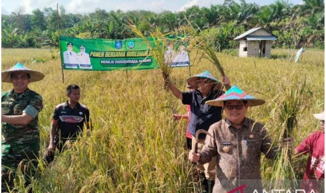 Bukan Cuma Wisata, Belitung Timur Serius Urus Perut Warganya