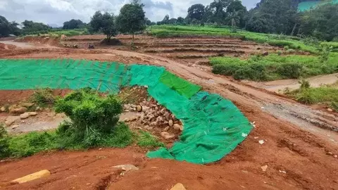 Pemerintah Perkuat Pengawasan Tata Guna Lahan dan Lingkungan Hidup di Kawasan Puncak