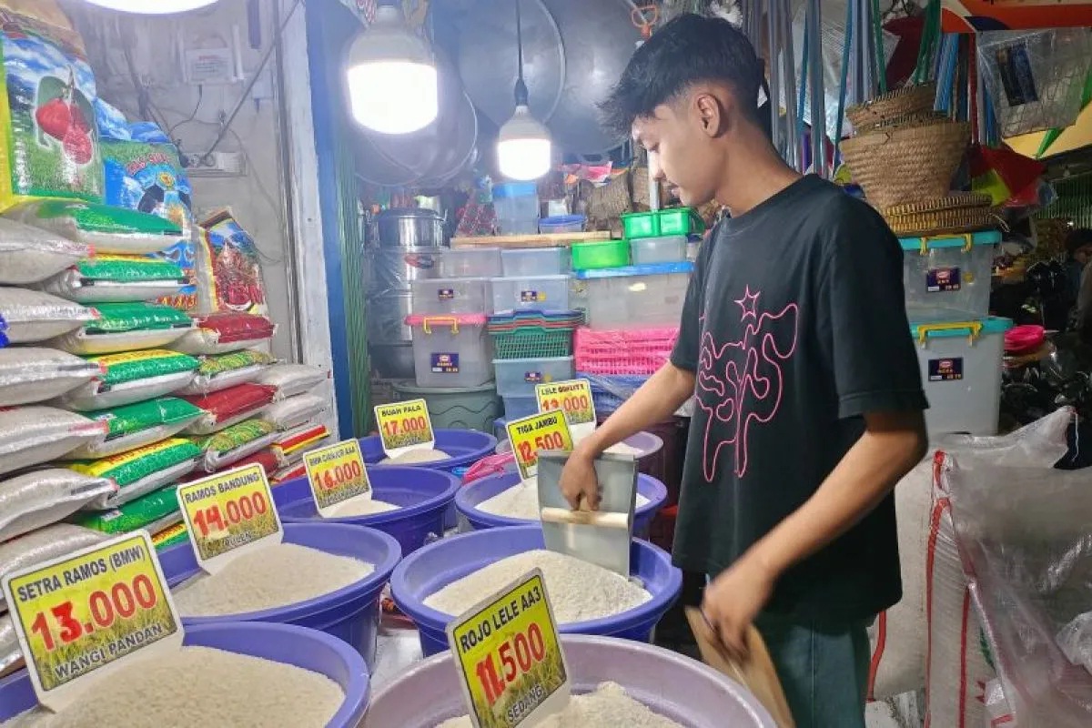 Harga Pangan Hari Ini, Bapanas: Beras Premium Turun Jadi Rp15.417 per Kg  