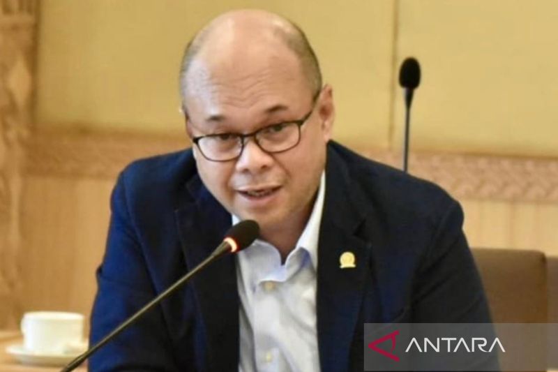 Anggota Fraksi PDIP Apresiasi Amnesti dari Presiden Prabowo untuk Hasto 