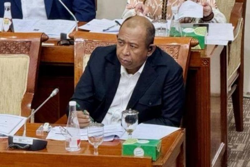 DPR: Budaya Pop "One Piece" Tidak Boleh Ganggu Nilai Kebangsaan