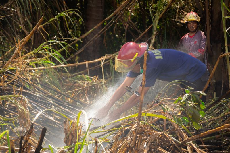 Curiga Kebakaran Hutan Disengaja, Kadis Kehutanan Limapuluh Kota Tunggu Hasil Penyelidikan Polisi 