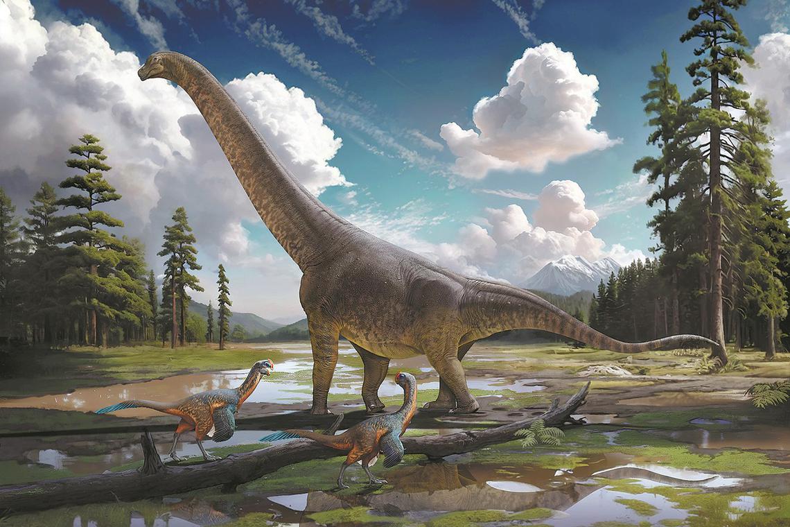Ilmuwan Tiongkok Temukan Sauropoda Tertua di Asia Timur