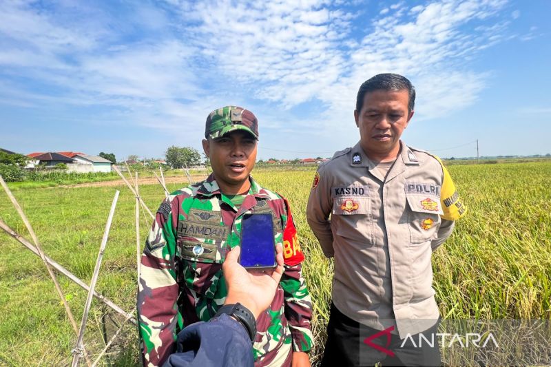 Babinsa Serda Hamdan Kawal Distribusi Gabah Sesuai HPP demi Kesejahteraan Petani Cengkuang