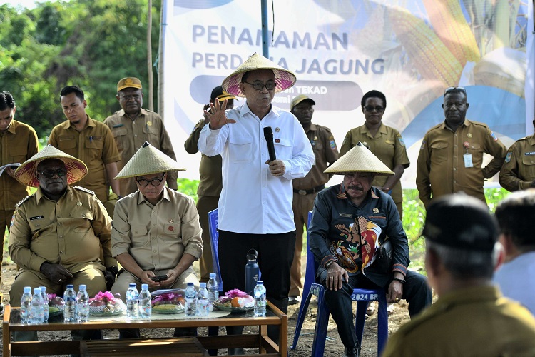 Menkop: Program Kopdes Merah Putih Dorong Ketahanan Pangan Papua