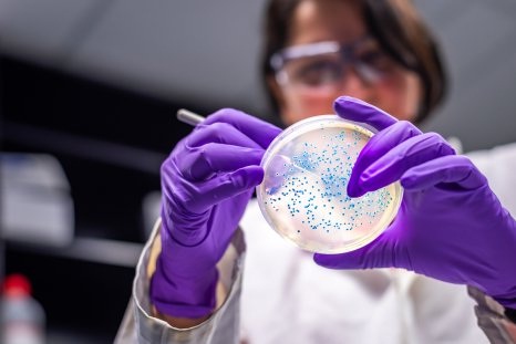 Ilmuwan AS Gunakan AI untuk Merancang Antibiotik Baru Melawan Gonore dan Bakteri Super MRSA