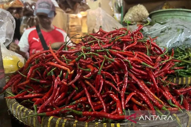 Bapanas: Harga Cabai Rawit Rp44.739/Kg, Bawang Merah Rp46.707/Kg