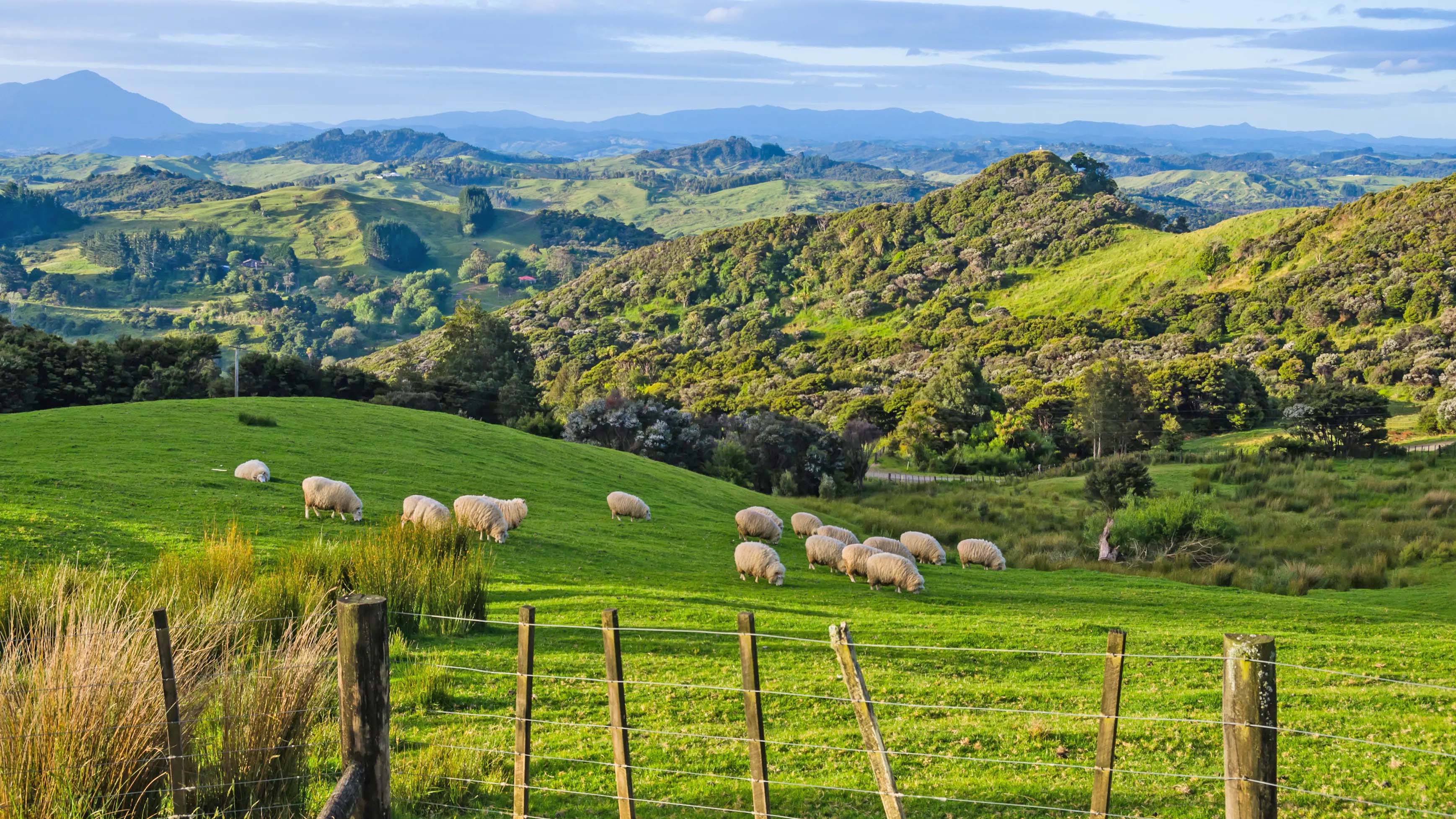 Aotearoa: Tanah Panjang Nan Memukau di Belahan Bumi Selatan