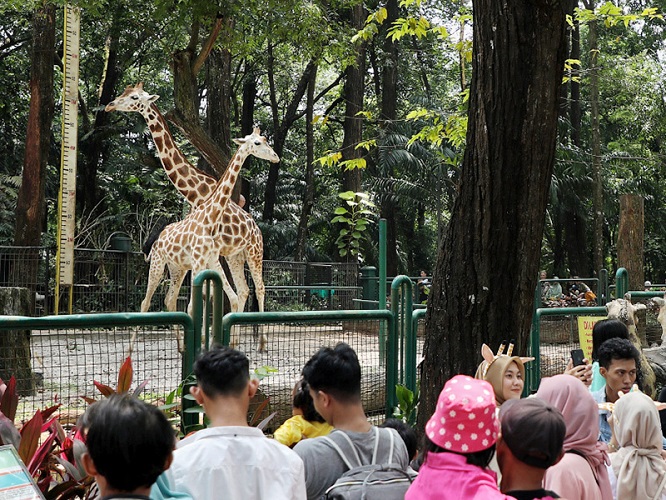 DPRD DKI Jakarta Minta Harga Tiket TMR Tetap Terjangkau