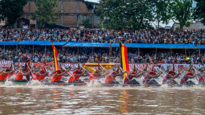Keren! Efek Festival Pacu Jalur 2025: Hotel Penuh, Mobil Sewa Habis, Wisatawan Membludak!