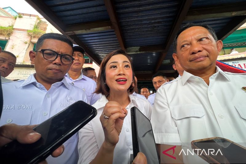 Presiden Benahi Sistem Ketahanan Pangan Hulu hingga Hilir