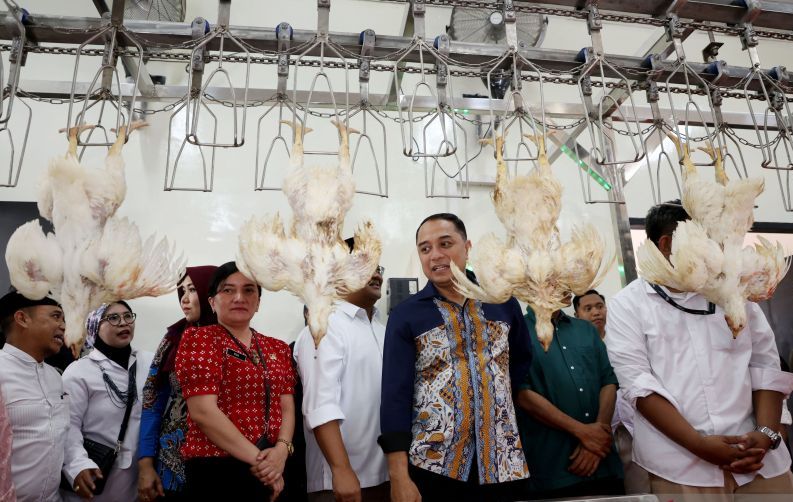 Kota Surabaya Miliki RPH Unggas Berkapasitas 5.000 Ekor/Hari