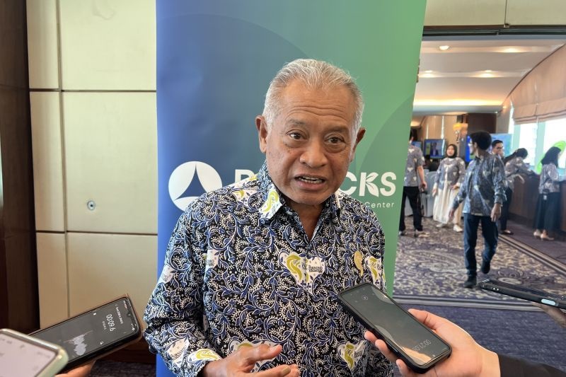 Penasihat Presiden Ajak Pengusaha Berinvestasi pada Energi Hijau di Indonesia