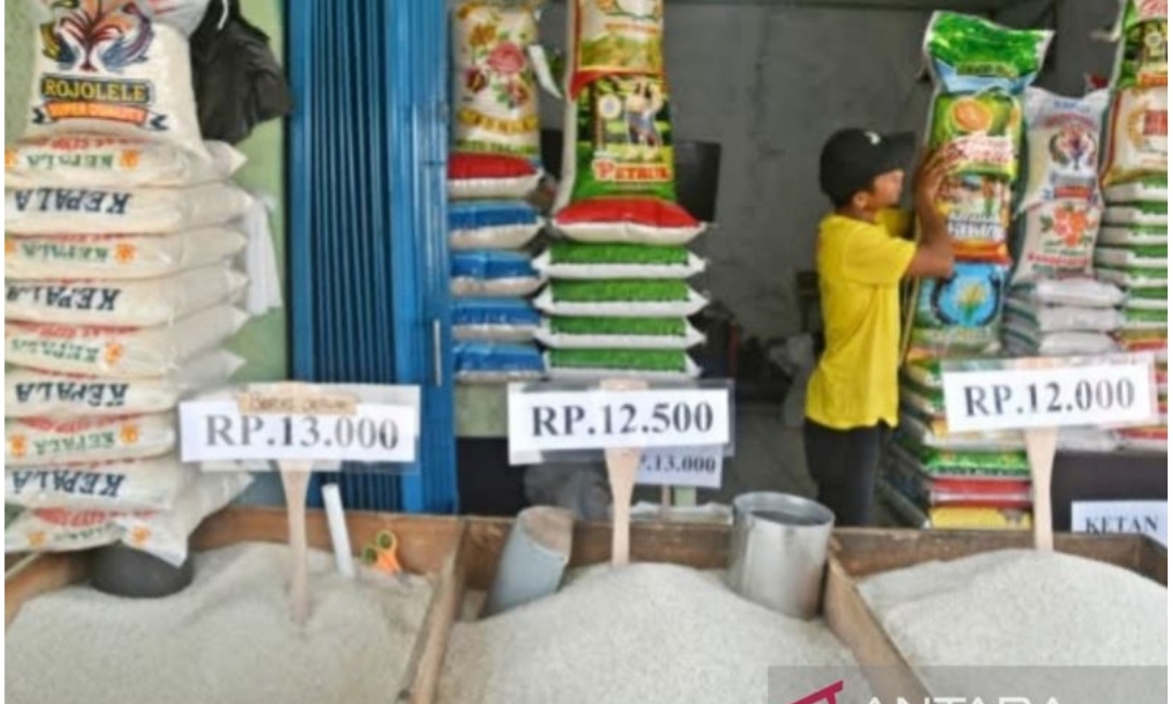 Harga Beras Anjlok, Mentan Klaim Petani Tetap Terlindungi
