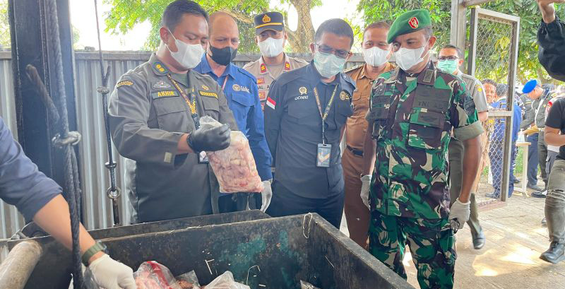 3,9 Ton Daging Ayam Ilegal di Bakauheni Dimusnahkan Karantina Lampung