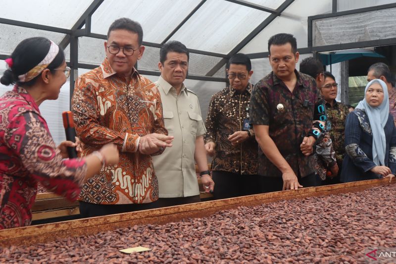 Ratusan Desa Siap Go Global, Produk Lokal Indonesia Tembus Pasar Dunia