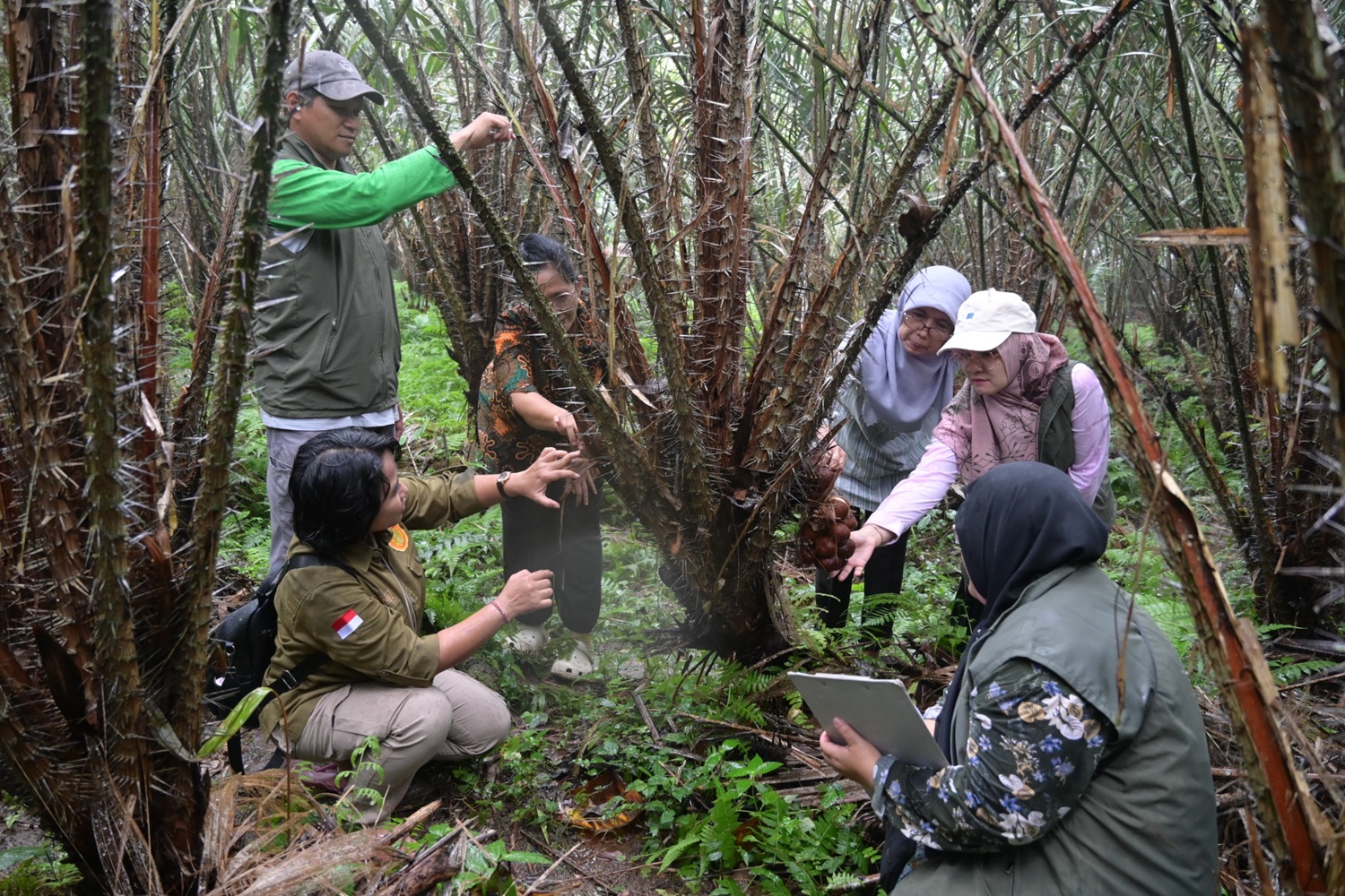Kementan Dorong Pendaftaran 12 Varietas Salak Bali untuk Tampil di Ajang Penghargaan GIAHS di Roma