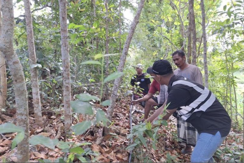 Pelindo Bangun Sumur Bor untuk Tingkatkan Produktivitas Masyarakat