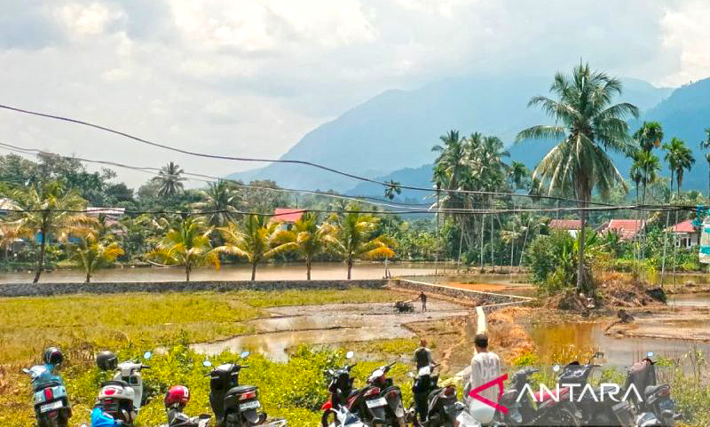 Bulog Rejang Lebong Optimistis Serap 1.000 Ton Beras Petani