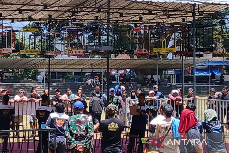 Lomba Burung Berkicau di Temanggung, Upaya Lestarikan Fauna di Indonesia