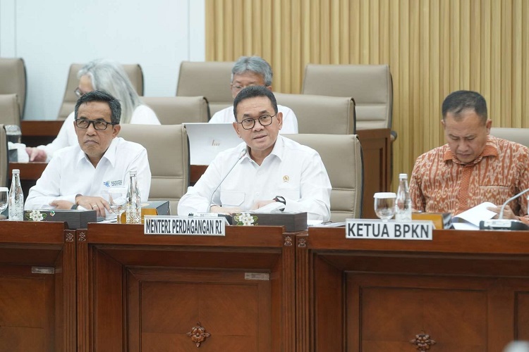 Mendag: Dukungan DPR Perkuat Perdagangan Nasional