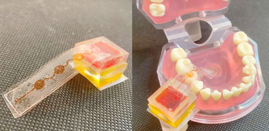 Artificial Tongue, Teknologi Revolusioner untuk Kenali Rasa
