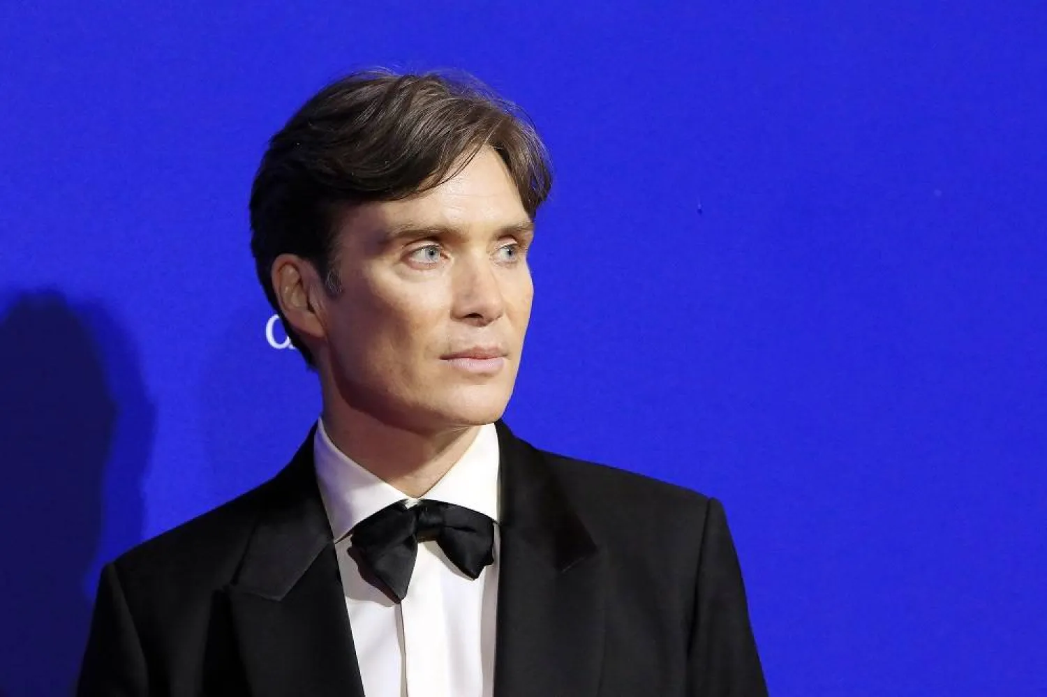 Cillian Murphy dan Sederet Artis Papan Atas Gelar Konser Amal untuk Palestina