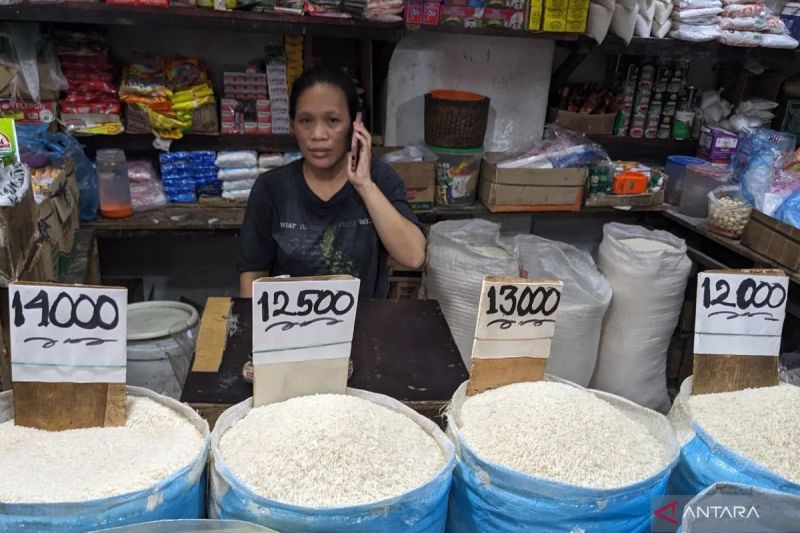 Bapanas Catat Harga Beras Medium Turun Jadi Rp13.657/kg, Cabai Rawit Juga Turun Jadi Rp45.791/kg