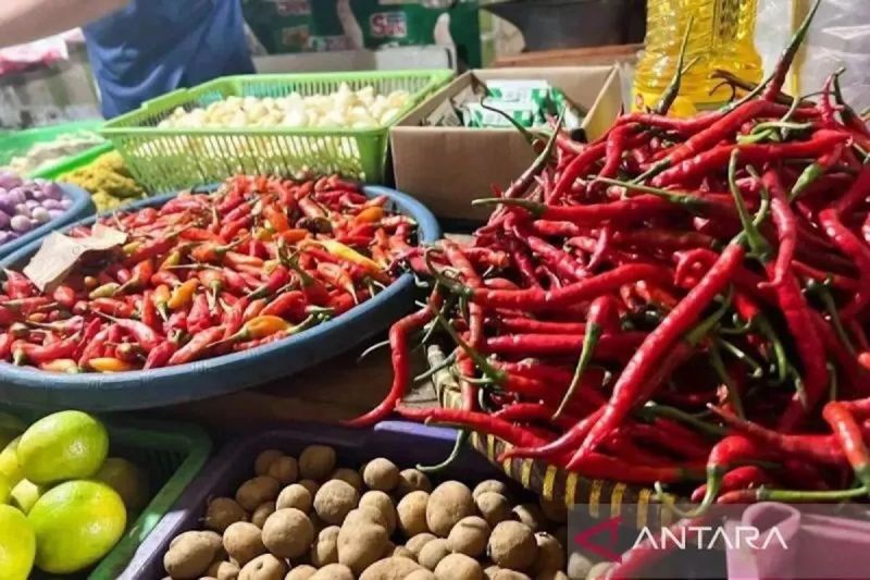 Harga Beras Medium Turun Jadi Rp13.150/Kg, Cabai Rawit Rp61.667/Kg